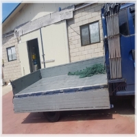 자바라호로-3641944