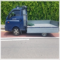 자바라호로-3641948